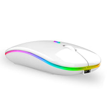 Carregar imagem no visualizador da galeria, Mouse Wireless Recarregável Rgb 2.4 Ghz