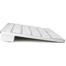 Carregar imagem no visualizador da galeria, 46984413937951